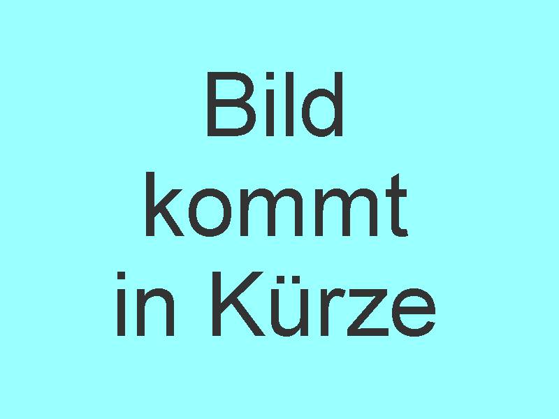 Renault MASTER dCi 135 2.3 FWD, Interne Nummer: 260420